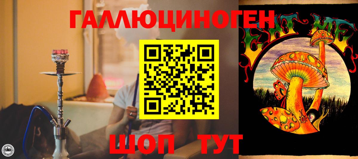 Мегион  купить закладку  Вход с VPN  Галлюциногенные грибы мухоморы 